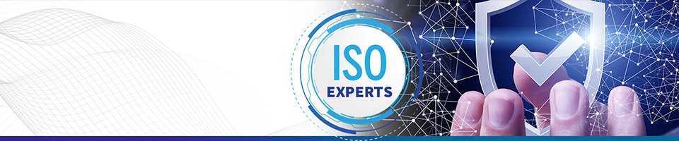 How ISO consultants can help my business to qualify for ISO certifications