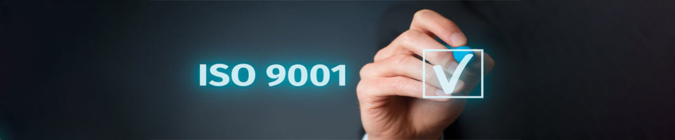 iso 9001 surveillance audit