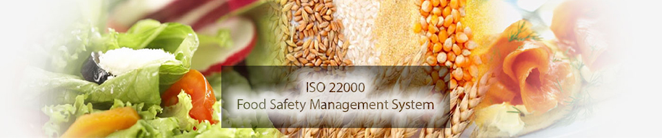 What is the objective of ISO 22000?