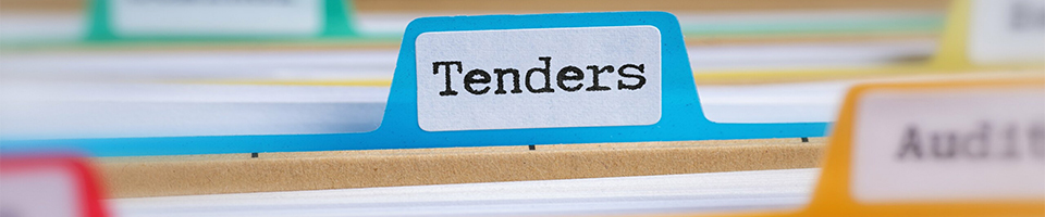 How to apply for tender in New Zealand?