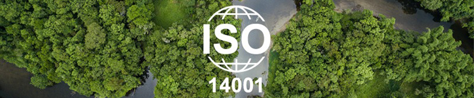 iso 14001 purpose