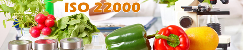 ISO 22000 requirements