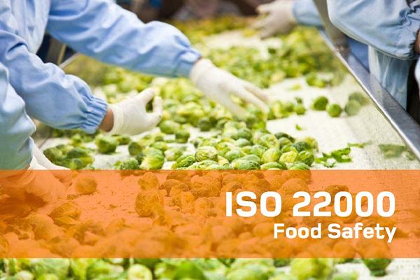  iso 22000 requirements